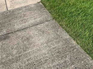 Karla D.'s Lawn Mowing Service service result