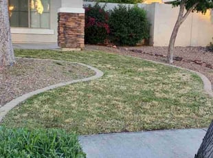 Kynesia B.'s Lawn Care service result