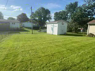 Greg P.'s Lawn Mowing service result