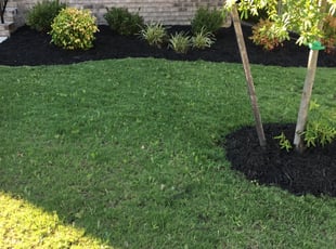Mulching by Not Me for Zeeshan B. in Toano, VA