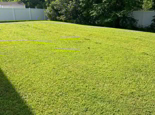 Alex C.'s Lawn Maintenance service result