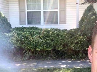 Bush Trimming by Pete Conley for Brandon M. in Akron, OH