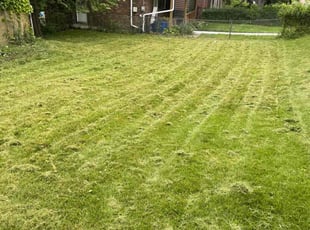 Jeremy D.'s Yard Cutting service result