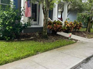 Mariah S.'s Lawn Maintenance service result
