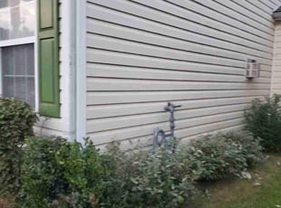 Sharon G.'s Bush Trimming service result