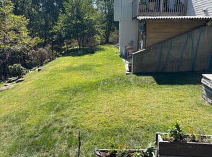 Blake A.'s Lawn Mowing service result
