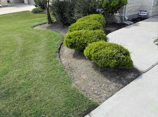 Weeding by Joshua Benouis for Zack M. in Pflugerville, TX