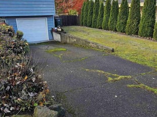 Leaf Removal by Nathan Chernobieff for Christina J M. in Everett, WA