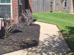 Mike Z.'s Grass Cutting service result