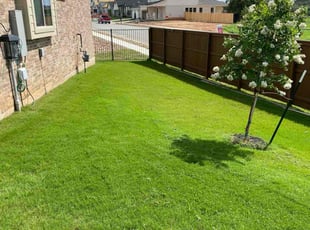 Karla L.'s Lawn Care service result