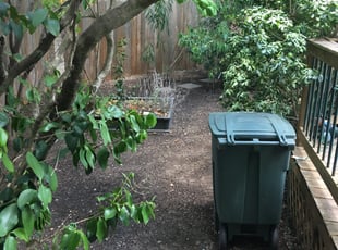 Cleanups by Chaes Pate for Ray S. in San Antonio, TX