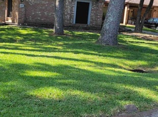 Lynn M.'s Grass Cutting service result