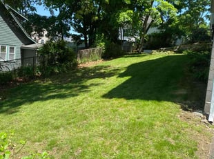 Vinay V.'s Lawn Mowing service result