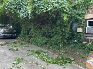 Bush Trimming by Kuendarees McClain for Donna N. in Fayetteville, AR