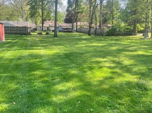 Walter A.'s Lawn Mowing service result