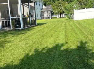 Magdalene D.'s Lawn Mowing service result