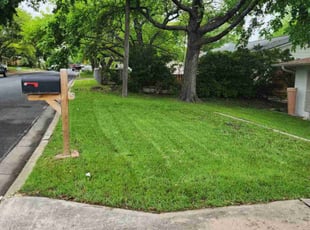 Carlito C.'s Lawn Mowing service result