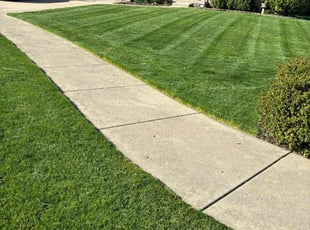 Vernon H.'s Lawn Mowing Service service result
