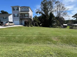 Tawana L.'s Lawn Mowing service result