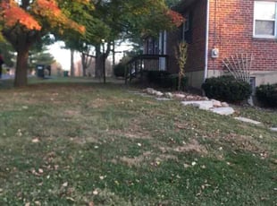 Leaf Removal by James Abernathy for Kate C. in Loveland, OH