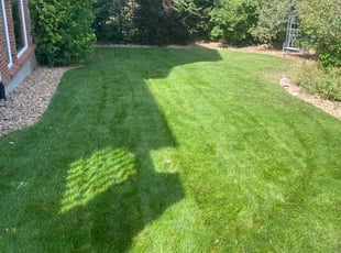 Brandon M.'s Lawn Maintenance service result