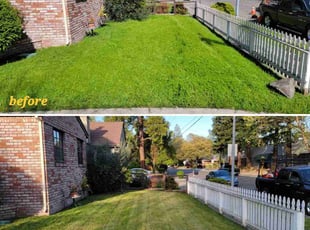 Dan W.'s Lawn Mowing service result