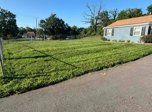 Yvonne C.'s Lawn Care service result