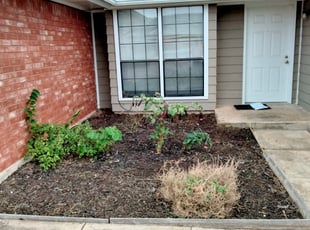 Weeding by Sam Tyler for Joey M. in Oklahoma City, OK