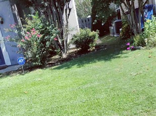 Weeding by Tony Feltman for Patrice S. in Hoover, AL