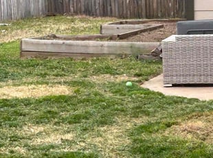 Weeding by Nicole Salazar for Anthony O. in Sand Springs, OK