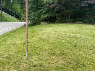 Philip G.'s Lawn Service service result