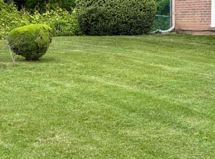 Kate C.'s Lawn Service service result