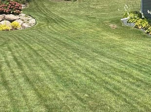 Rhonda J.'s Lawn Maintenance service result