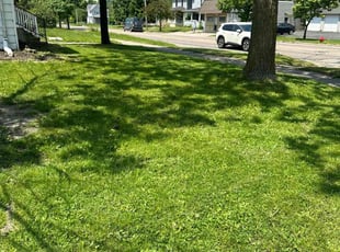 Jill G.'s Grass Cutting service result