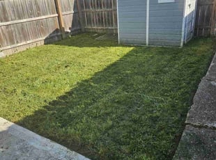 Kyle K.'s Lawn Mowing Service service result