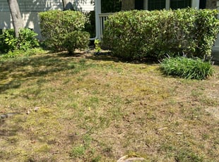 Cleanups by Ines Pereira for Cleo L. in Woodbridge, VA