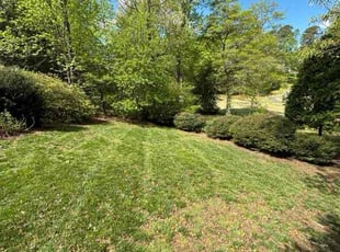 Chris N.'s Lawn Mowing service result