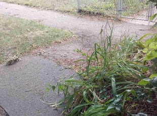 Cleanups by Jeffrey Spears for Jim H. in Minneapolis, MN