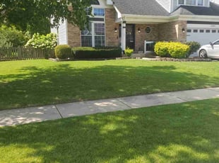 Danya V.'s Grass Cutting service result
