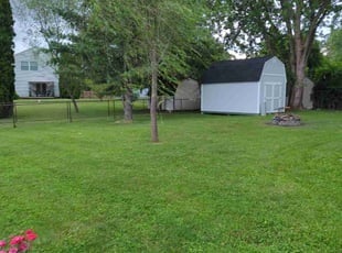 Ravelle K.'s Lawn Care service result