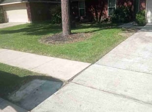 David S.'s Yard Cutting service result