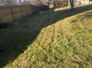 Leaf Removal by Steve Valverde for Cassie C. in Swansea, MA