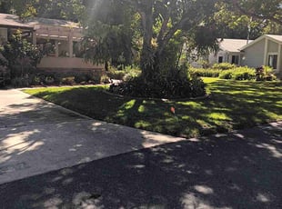 Helen V.'s Lawn Mowing service result