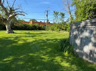 WILLIAM G.'s Lawn Mowing service result
