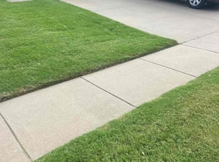 Paula B.'s Lawn Service service result