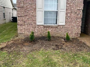 Landscaping by Tyrone Blaylock for B. in Arlington, TN