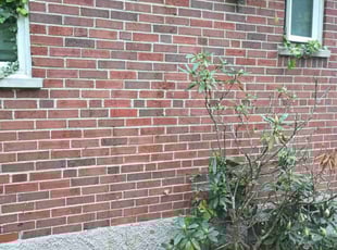 Weeding by Walter Parker for Gregory K. in Cincinnati, OH