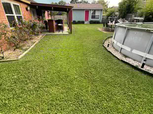 Lorrie L.'s Lawn Mowing service result