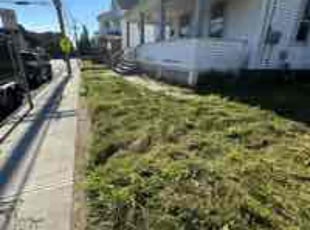 Frances H.'s Yard Cutting service result