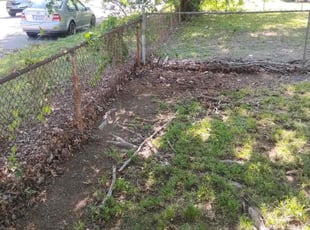 Cleanups by Jeffrey Johnson for Erich L. in Portsmouth, VA